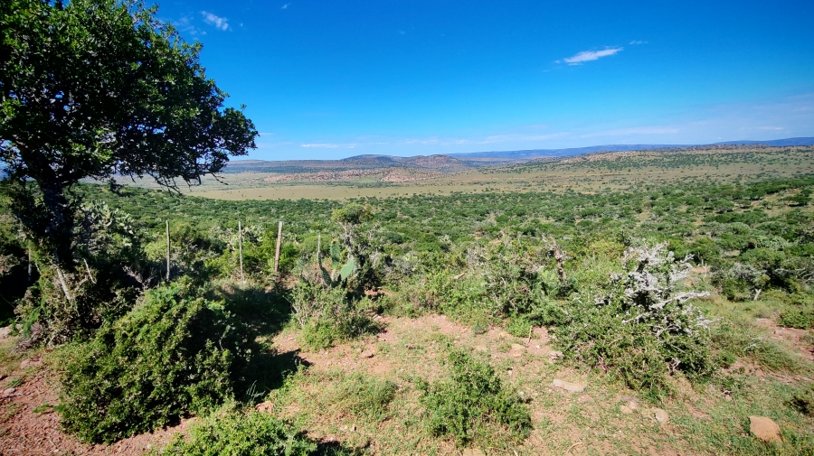 0 Bedroom Property for Sale in Somerset East Rural Eastern Cape